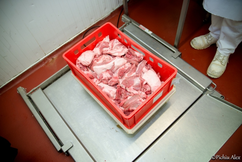 Carnea de porc pentru crenvurști folosită la SELGROS Iași